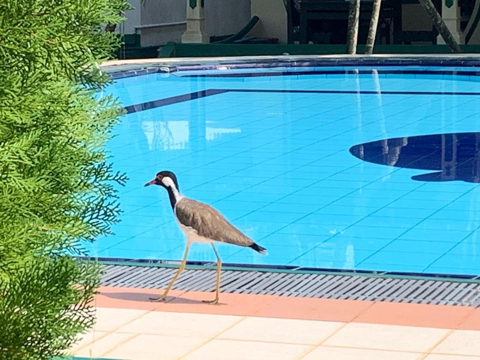 Sagarika Beach Hotel Moragalla Luaran gambar